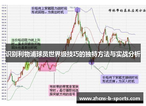 识别利物浦球员世界级技巧的独特方法与实战分析