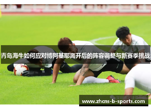 青岛海牛如何应对博阿基耶离开后的阵容调整与新赛季挑战