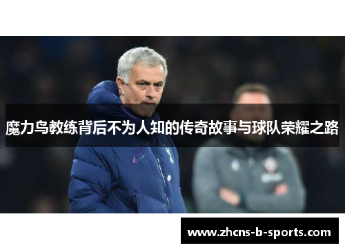 魔力鸟教练背后不为人知的传奇故事与球队荣耀之路