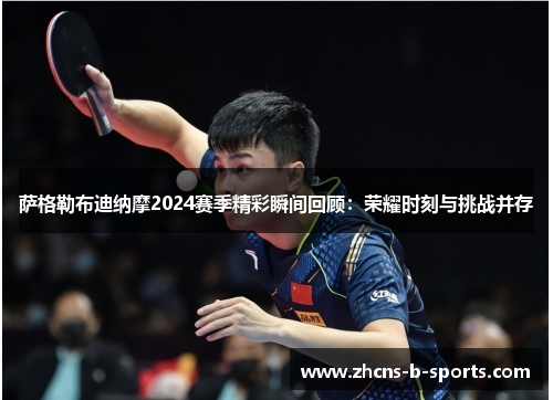 萨格勒布迪纳摩2024赛季精彩瞬间回顾：荣耀时刻与挑战并存