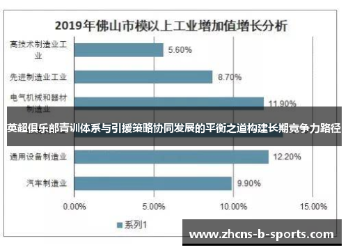 英超俱乐部青训体系与引援策略协同发展的平衡之道构建长期竞争力路径