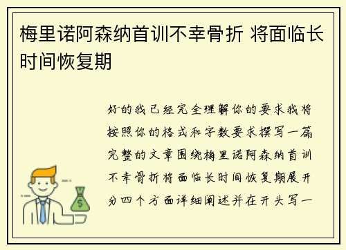 梅里诺阿森纳首训不幸骨折 将面临长时间恢复期 梅里诺阿森纳首训不幸骨折 将面临长时间恢复期